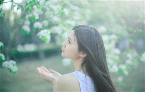 吉州验血查男女几周可以验(验血查男女结果图)